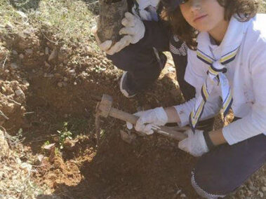 Σώμα Ελληνικού Οδηγισμού